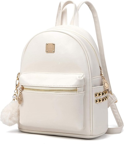 5. North Face Never Stop Mini Travel Backpack for Women 5L